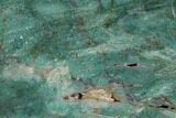 Polished Fuchsite Chert (Dragon Stone) Slab - Australia #89982-1